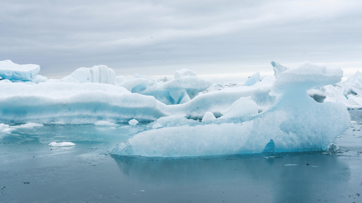 Various icebergs and ice floes on calm water under a cloudy sky.