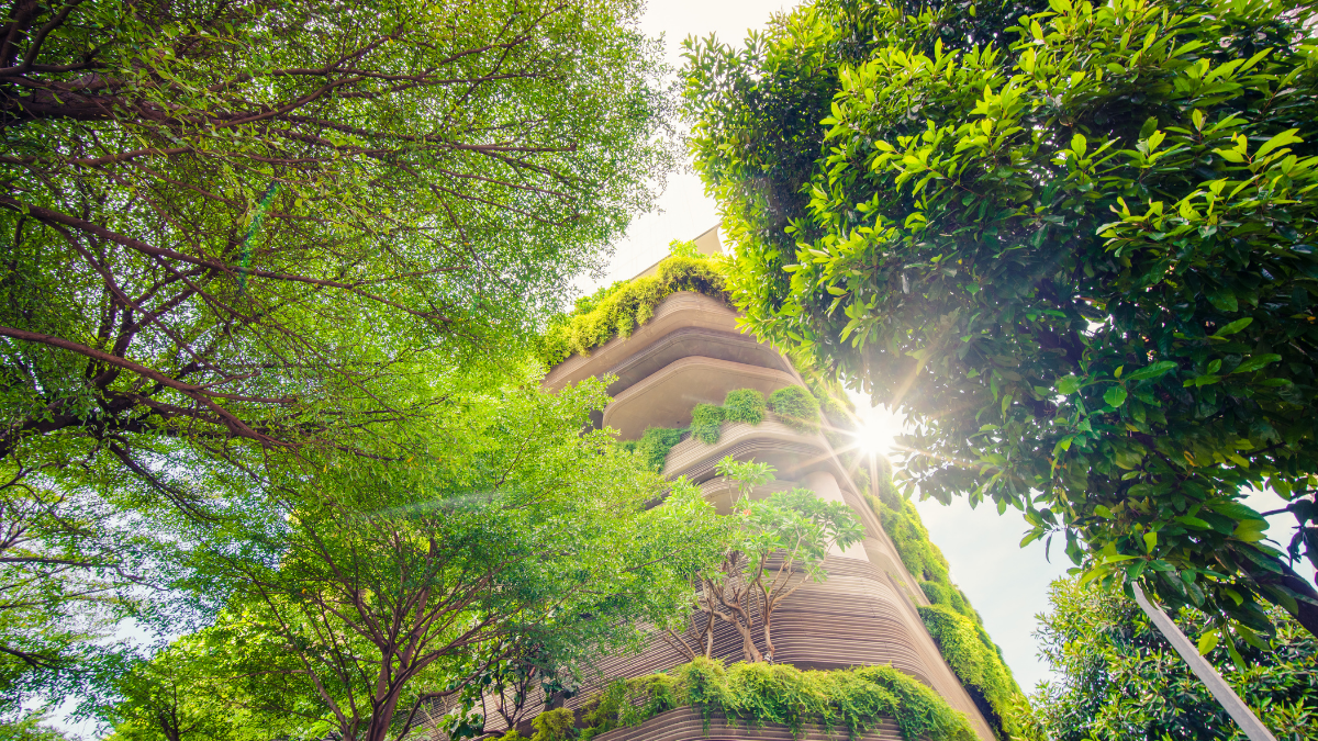 Upward view of a multi-story building with green balconies and surrounding trees, with sunlight filtering through.