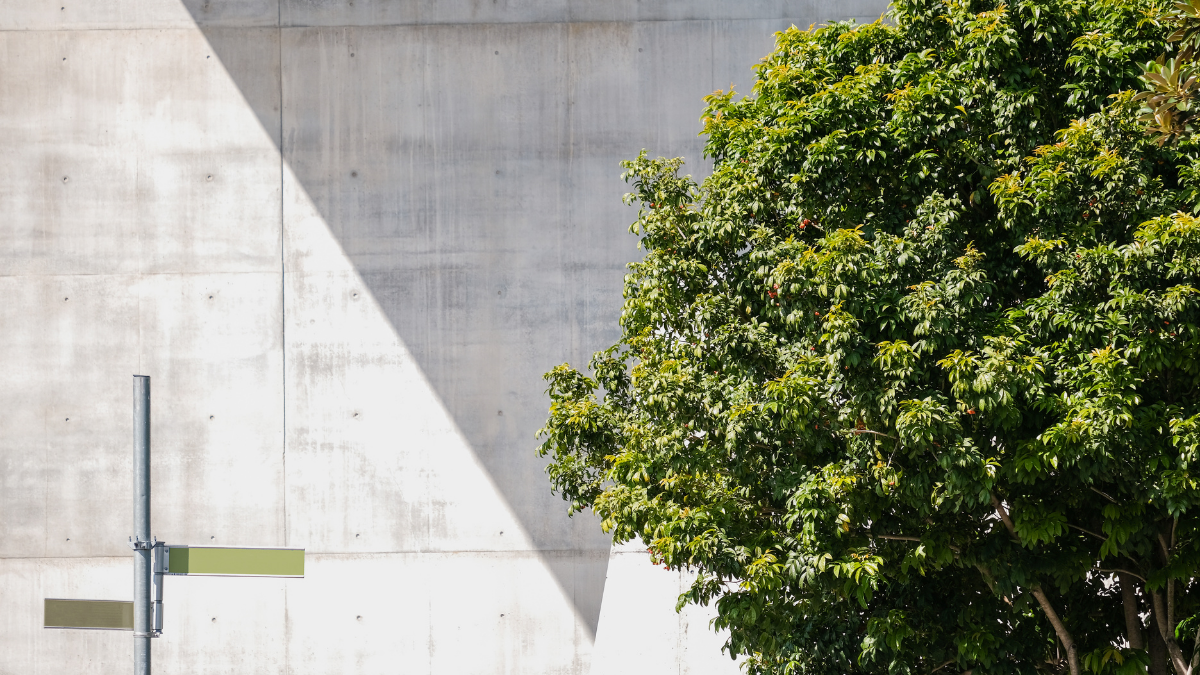 Concrete wall with a diagonal shadow and a tree with dense foliage on the right side of the image