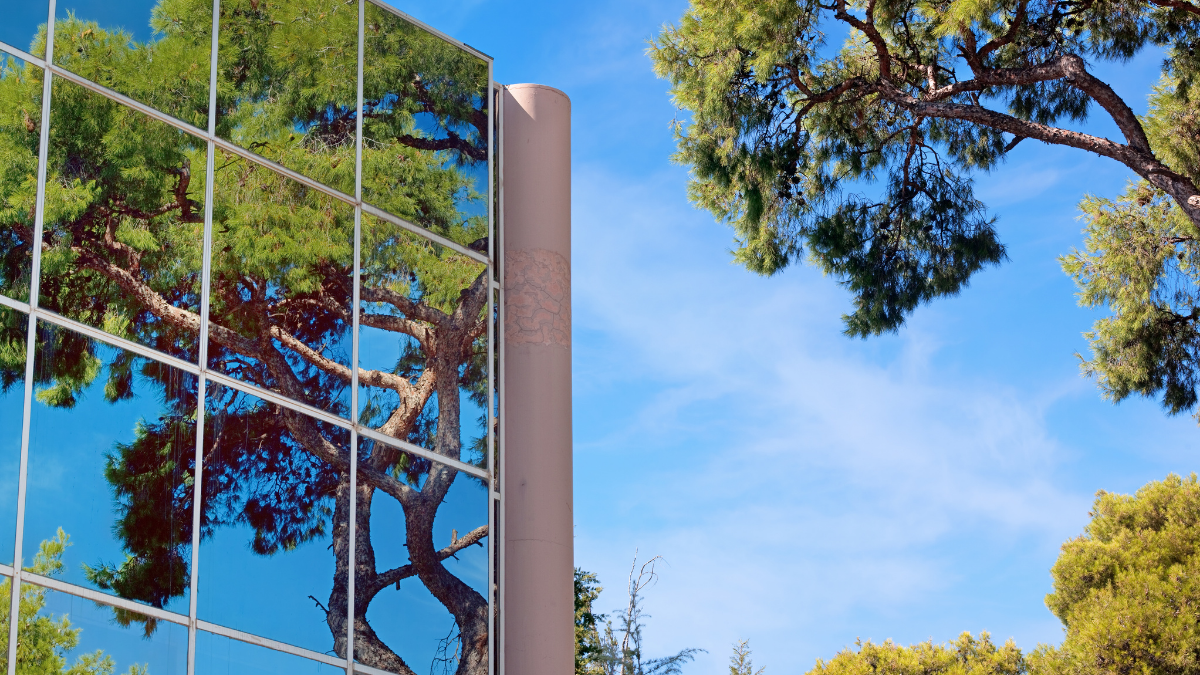 Reflective glass facade of a building, reflecting several trees and a blue sky