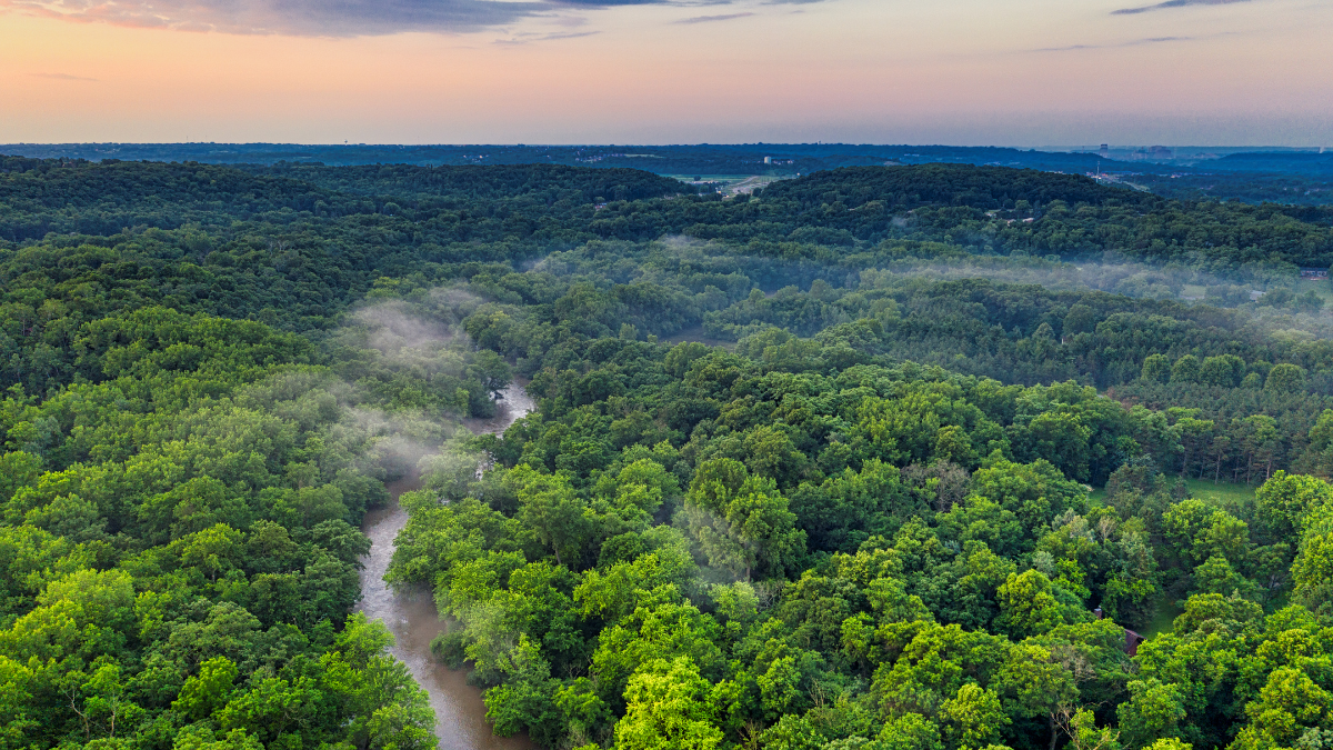 Aerial view of a river winding through a dense forest with wisps of fog