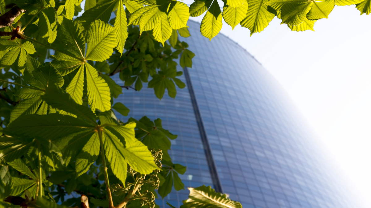 Close-up of green leaves in front of a tall, reflective glass building in the background